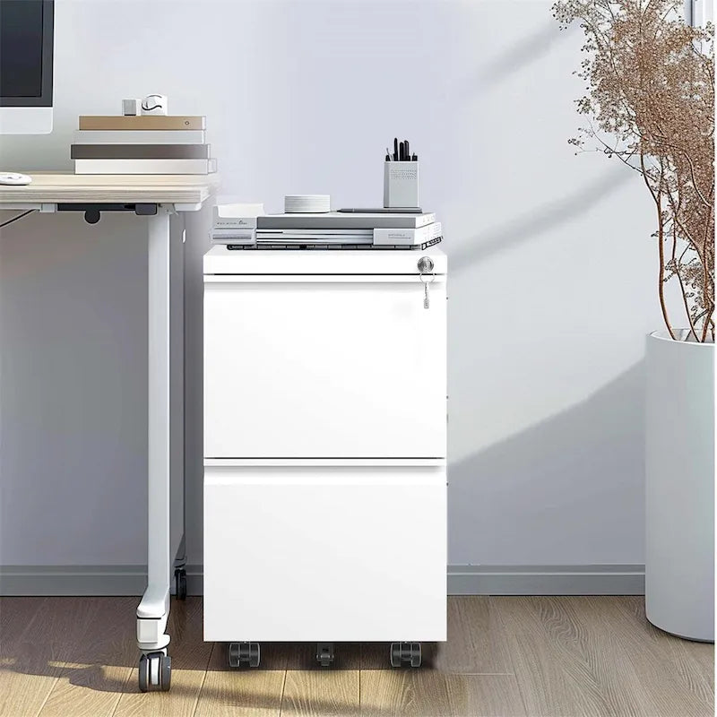 2-Drawer Rolling Metal File Cabinet with Lock and Casters, Black & White