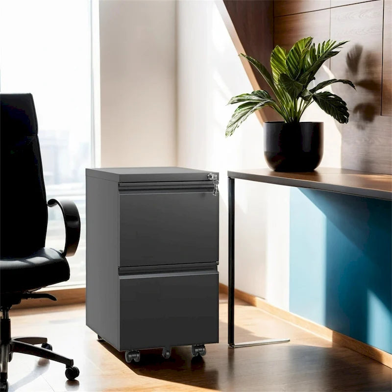 2-Drawer Rolling Metal File Cabinet with Lock and Casters, Black & White