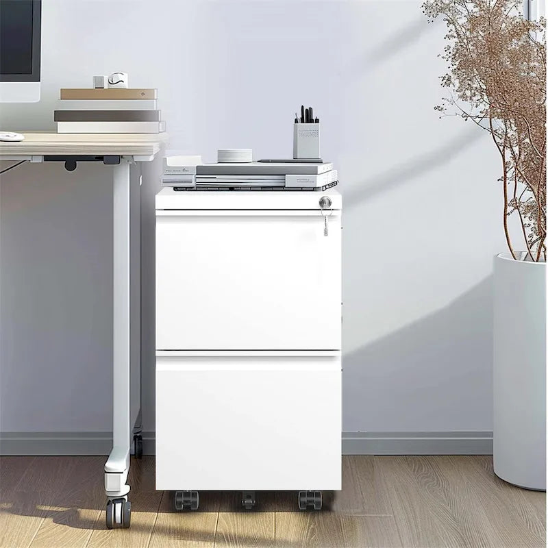 2-Drawer Rolling Metal File Cabinet with Lock and Casters, Black & White